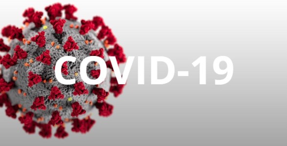 15 fresh Covid-19 cases reported in 24 hours: NIH