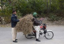 A man is taking dry grass on motorcycle for domestic use