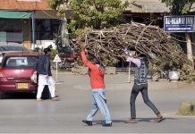 Two persons carrying bundles of dry branches of tree on their heads on the way back to home for domestic use in Federal Capital