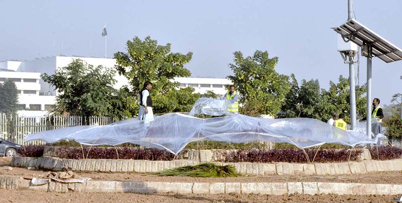 CDA worker covering plantlets with polythene sheets to protect them from dew drops during cold weather in the Federal Capital