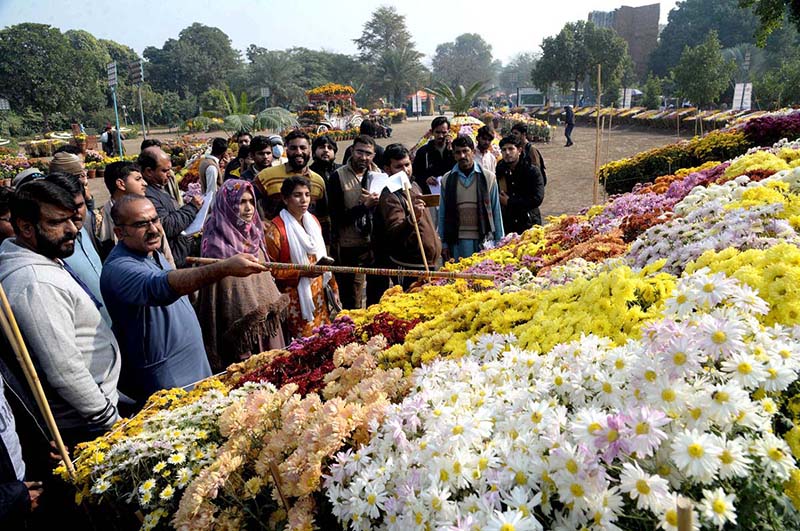 Visitors viewing displayed flowers at a stall during Chrysanthemum Flowers Show in Jillani Park
