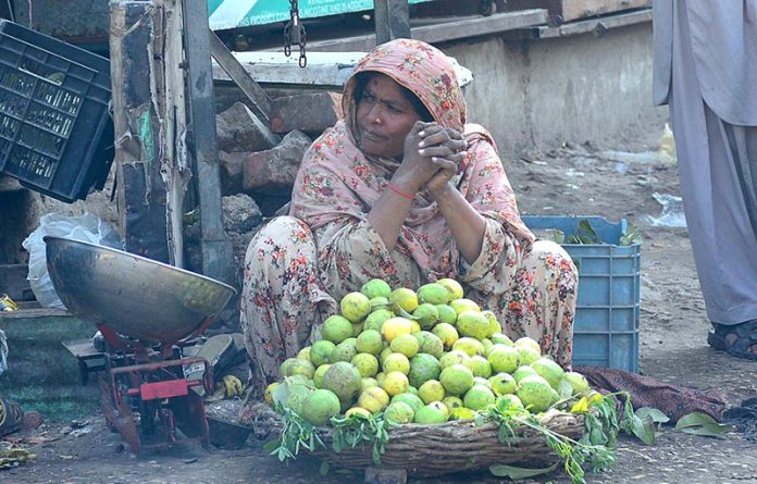 A woman vendor waiting for customer to sell guava at her roadside setup