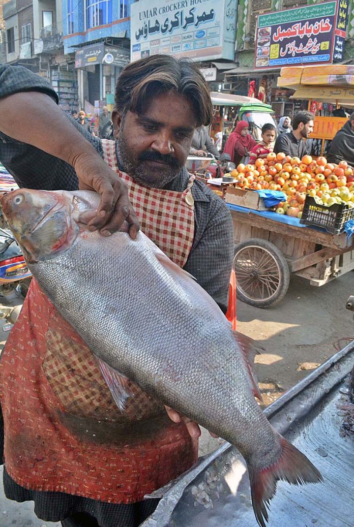 A vendor displaying fish on his cart to attract the customers