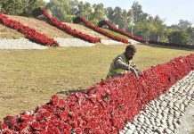CDA worker is decoration a green belt with artificial rose flowers at G-9 in the Federal Capital