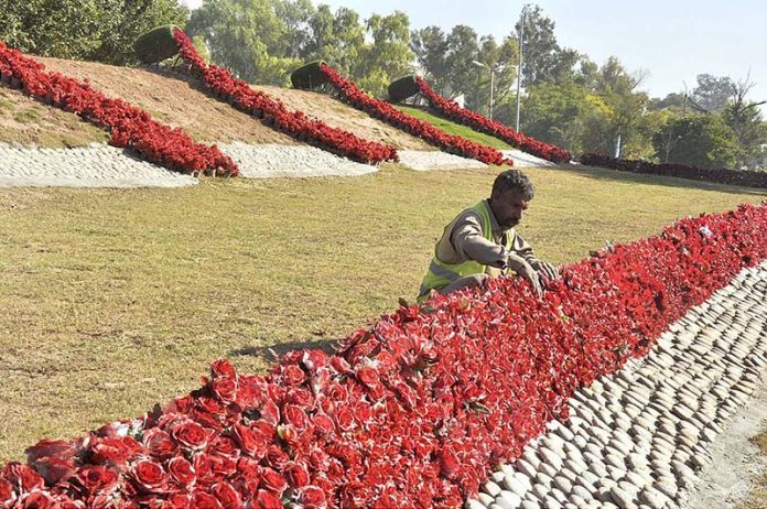 CDA worker is decoration a green belt with artificial rose flowers at G-9 in the Federal Capital