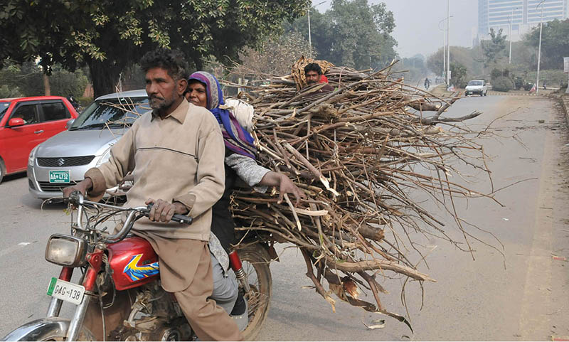 Family carrying tree branches on bike for burning purpose at Federal Capital.