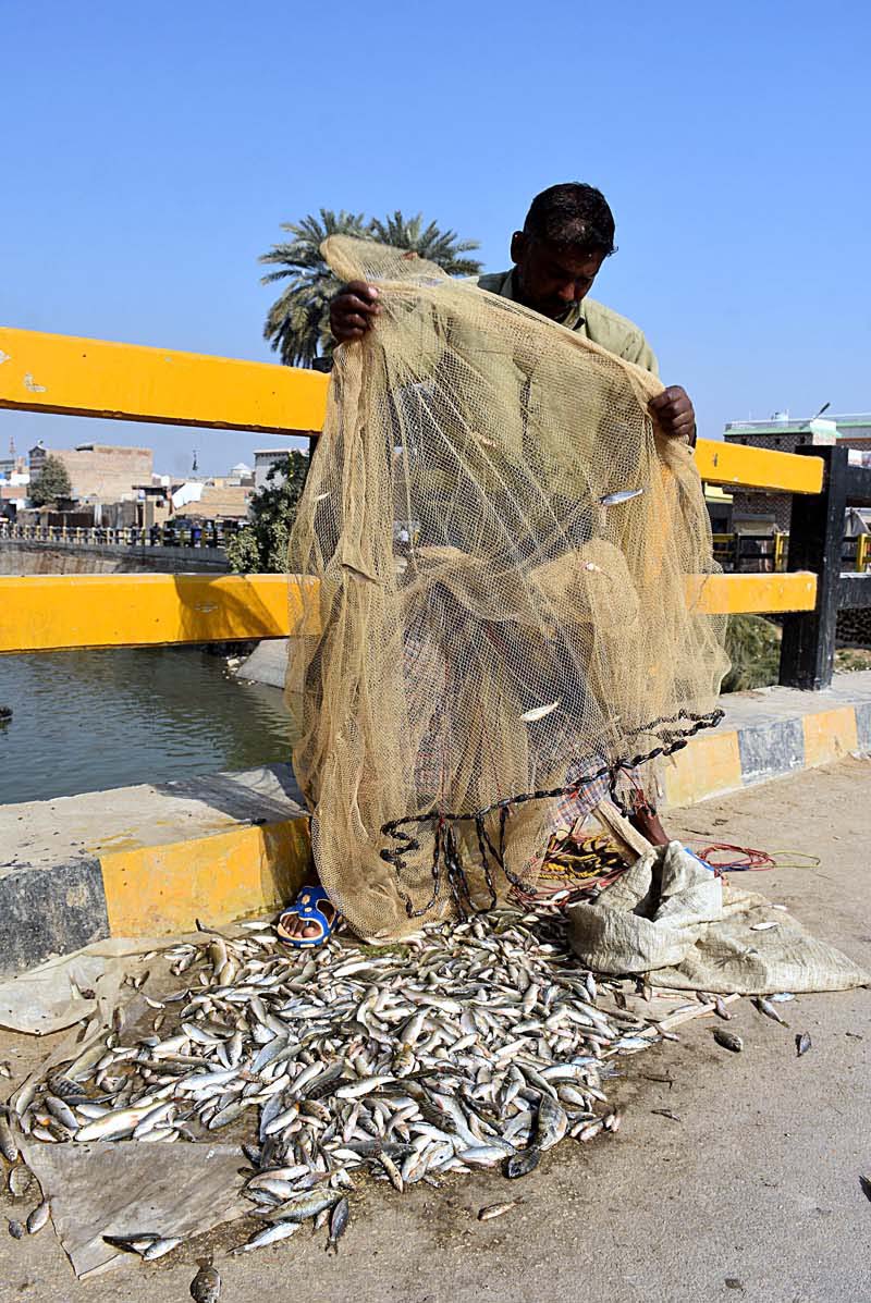 A fisherman taking fish out of his net after catching fishes in Rice Canal