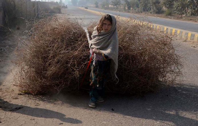 A girl pulling a bundle of dry wood for domestic use in Fatima Jinnah colony