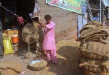 A labourer is cleaning peanuts at grain market.