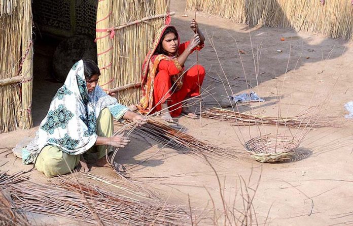 Gypsy women busy in making traditional baskets with tree branches in the front of their makeshift home