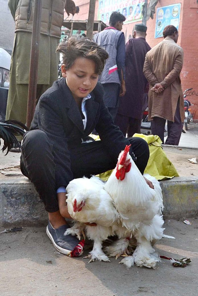 A young vendor selling white fluffy chicken at Bird Market.