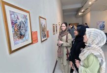 Visitors viewing the art exhibition on "16 Days of Activism Against Gender-Based Violence" at Pakistan National Council of Arts
