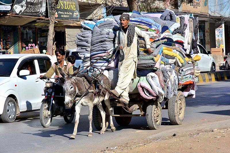 A donkey cart holder on the way loaded with quilts at Thandi sarak