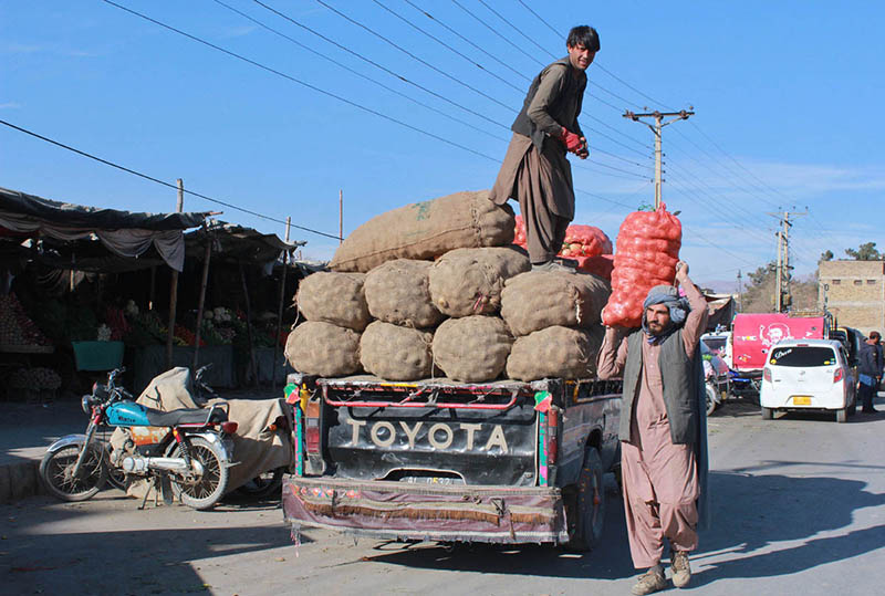 Worker carrying sack of onion at Vegetable Market