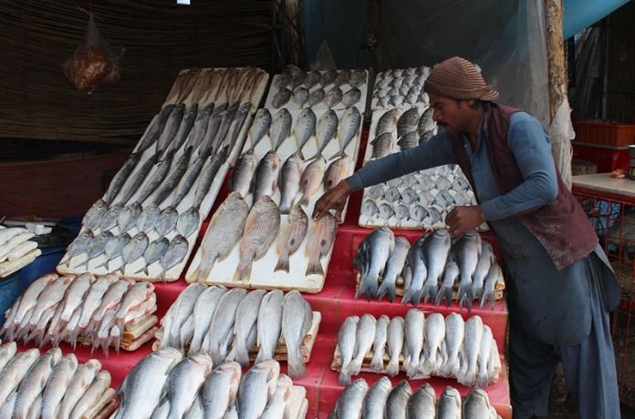 A vendor is displaying fishes for customers at Joint Road as demand increased in the area due to cold weather.