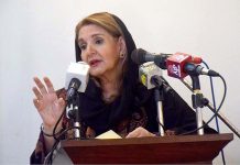 First Lady urges intensified awareness to end domestic violence