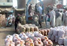 Labourer unloading tomato bags from delivery truck at Vegetable Market