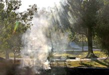 An eye-catching view of sunlight passing through smoke emitting in a local park in G-7 area