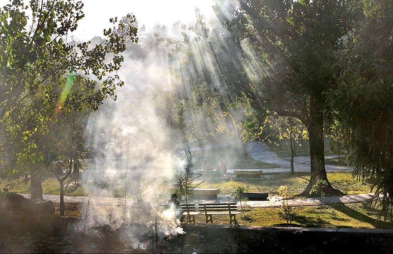 An eye-catching view of sunlight passing through smoke emitting in a local park in G-7 area