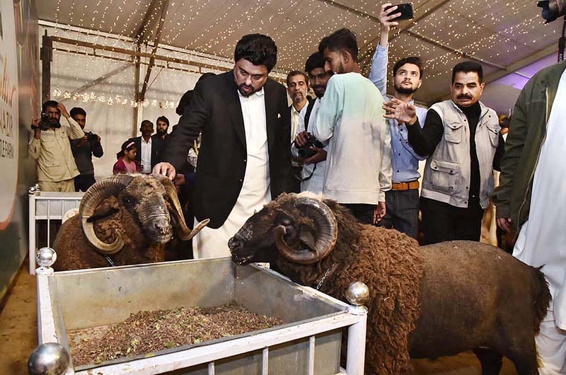 Sindh Governor Kamran Khan Tessori visits a stall after opening the DALFA Cattle Show at Expo Centre.