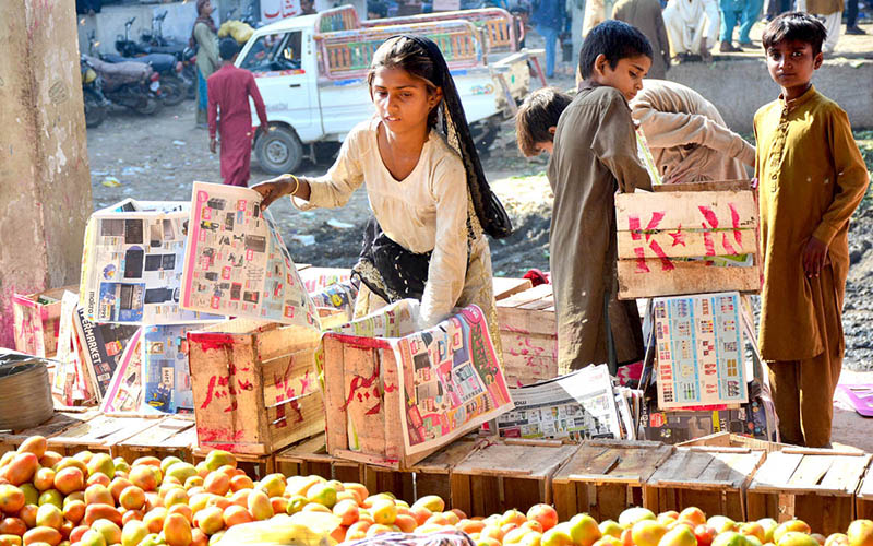 Children labourers preparing the wooden boxes for packing tomatoes at Vegetable Market.