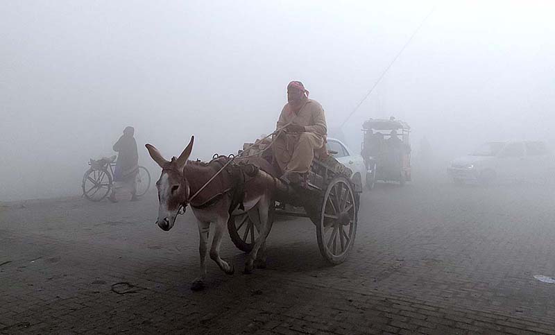 A student is going to school in the morning time during fog that engulfs the whole city