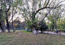 An attractive view of autumn season at rose and jasmine garden in Federal Capital.