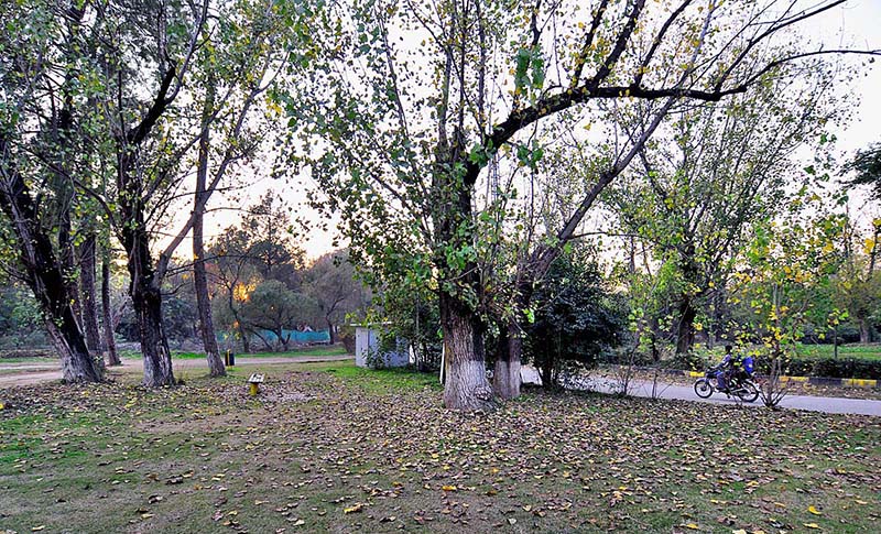 An attractive view of autumn season at rose and jasmine garden in Federal Capital.