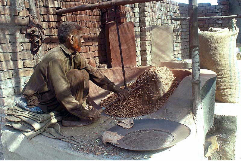 Labourer is busy in roasting peanuts at his workplace.