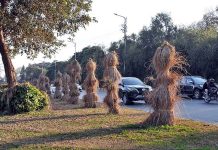 A view of plants covered to protect from cold weather along Murree Road