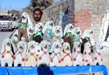 Man selling stuffed sheep toys on his hand cart at Zarghoon Road.