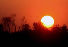 A view of last sunset of 2022 in the City.