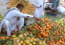 Traders displaying seasonal fruit (orange) to attract the customer at fruit market.