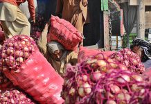 Labourers unloading onion bags from delivery truck at Vegetable Market