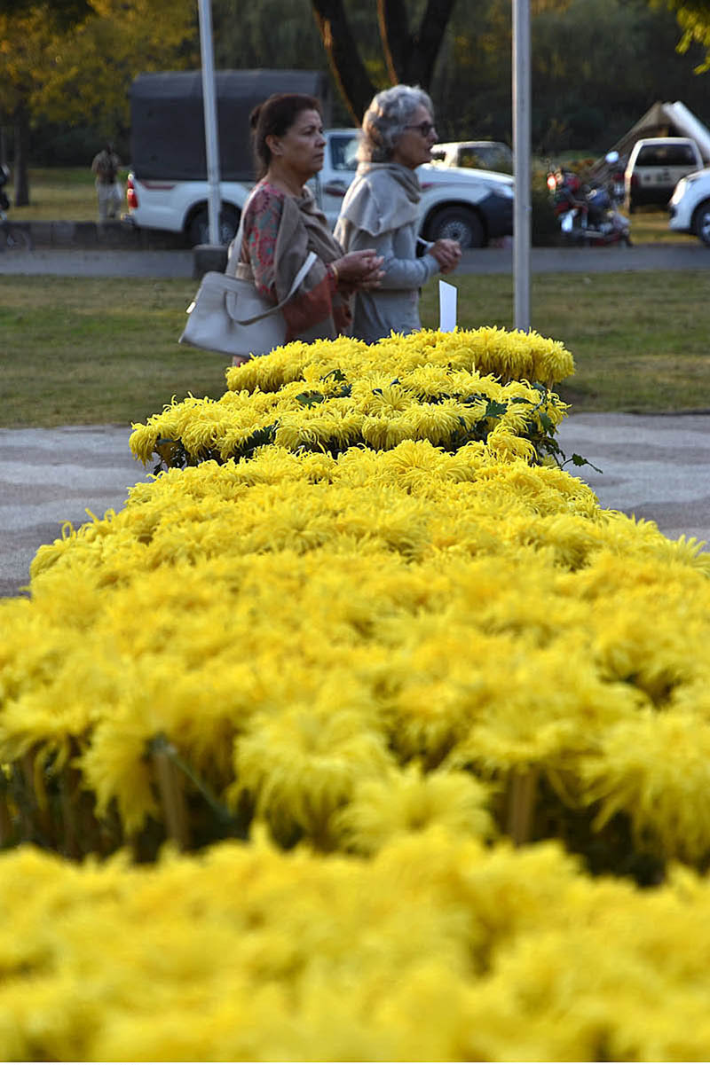 PHA employees decorated Park with flowers near railway station