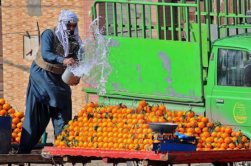 A vendor showering water on seasonal fruit oranges to keep it fresh at his roadside setup
