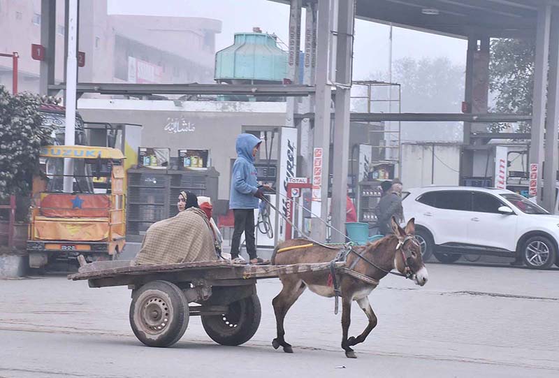 A gypsy family traveling on donkey cart at Sambrial road