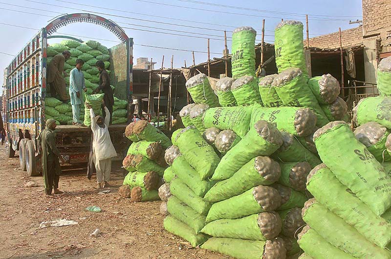 Labourers busy in unloading sacks of vegetable at vegetable market