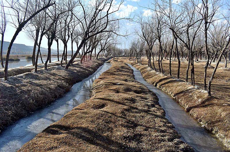An attractive view of leafless trees along with two frozen canals at Katpana Desert Lake
