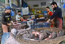 Vendors are selling and cutting fish as its demand increased despite high prices of white meat for winter at Fish Market