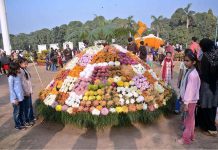 Many families stroll through the colorful styles of flowers during the various flower displays organized by the PHA at Jilani Park