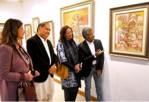 Visitor viewing and appreciating paintings at the solo Painting Exhibition Soul of Impressionism by Chitra Pritam at Ocean Art Gallery