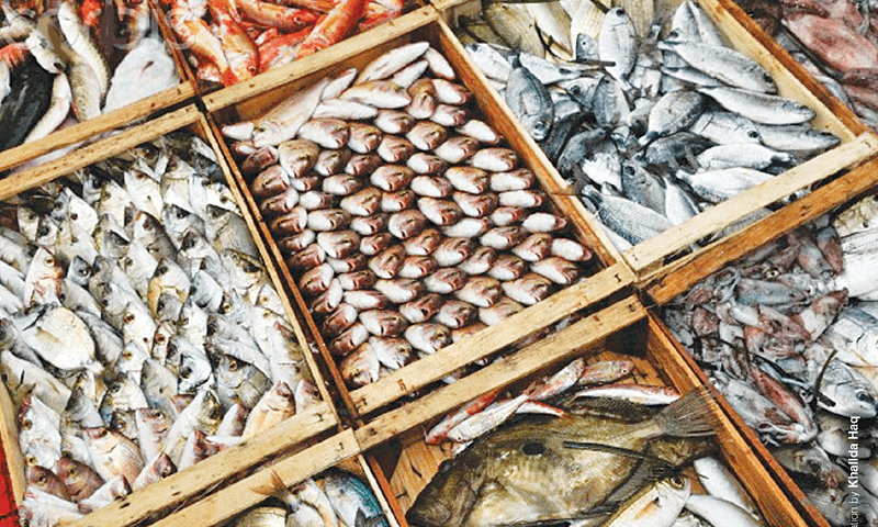 Fish exports increase by 23.53% to $185 million