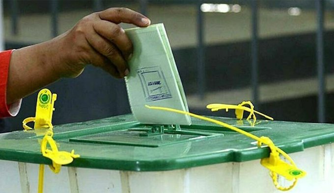 PPP celebrates victory in LG polls
