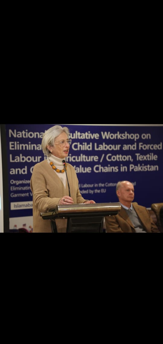 National consultative workshop on elimination of child labour held