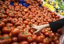 Global food prices overall hold steady in November: UN agency
