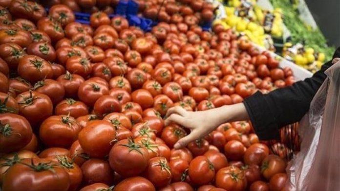 Global food prices overall hold steady in November: UN agency