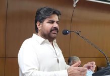 Next mayor of Hyderabad to be from PPP: Nasir Hussain Shah