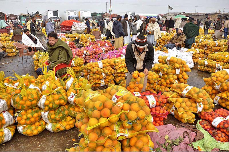 Vendors waiting for customers to sell oranges at Fruit and Vegetable Market in Federal Capital