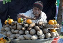A street vendor selling coal roasted sweet potatoes to earn some livelihood at his roadside setup